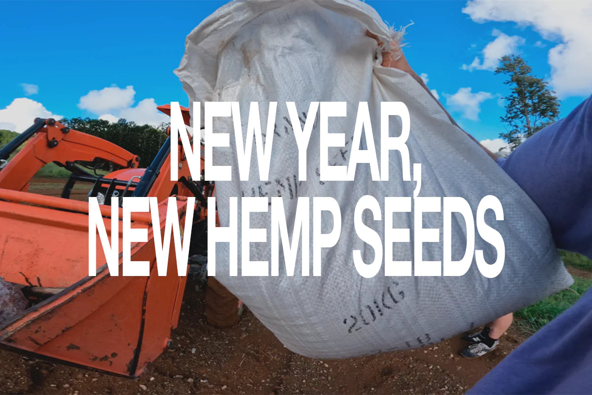 NEW YEAR, NEW HEMP SEEDS